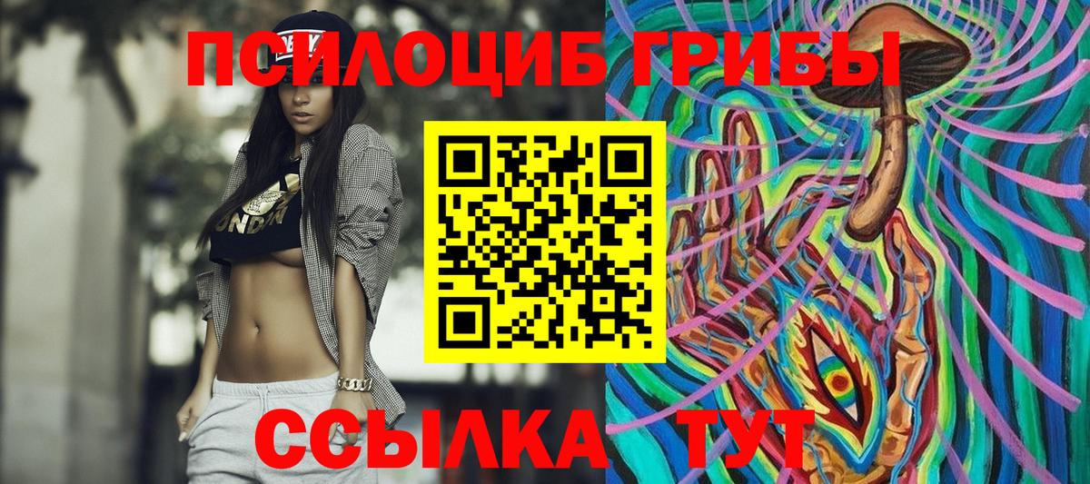 Псилоцибиновые грибы ЛСД  Вход с VPN  Владивосток  купить наркотики цена  Псилоцибиновые грибы прущие грибы 